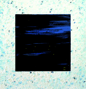 2007_Löwe_30x30