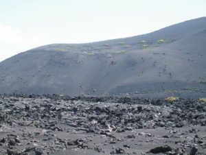 2009_Kalenderbilder 3